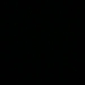 Meet your Posher, Évaëlle